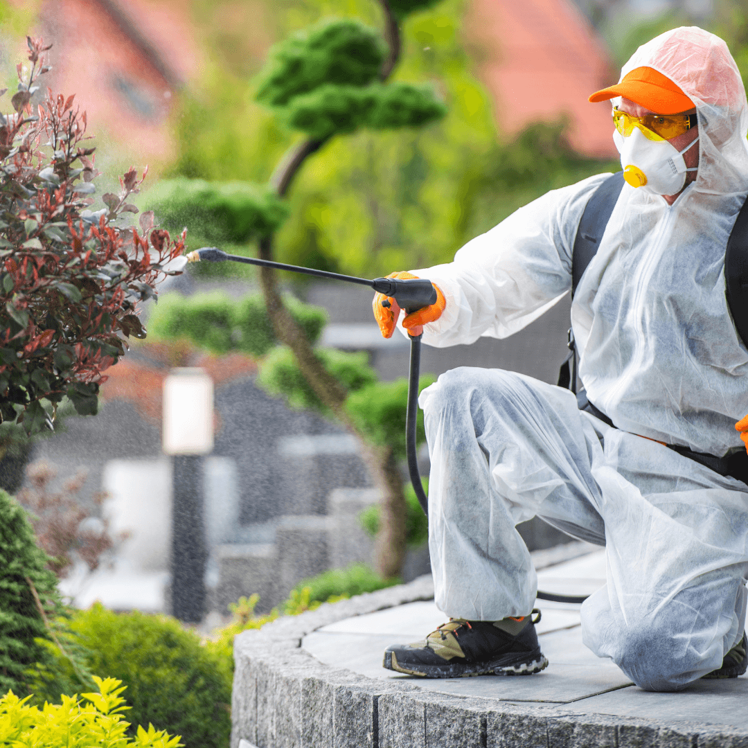 Best Maine Pest Control Company